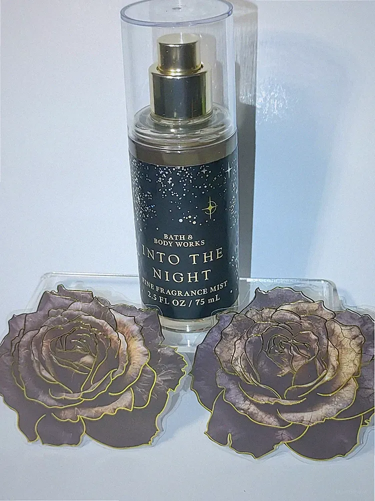 Bath & Body Works Into The Night Travel Size 2.5 Oz. Gothic Romance Fragrance